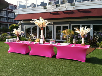 spandex buffet banquet linens