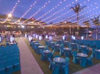 chair covers