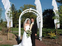 wedding microwedding